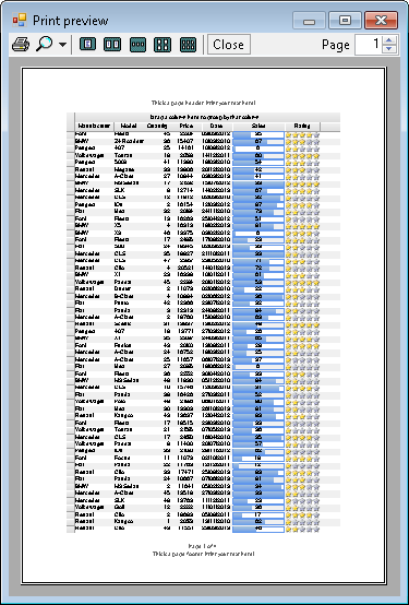 .Net Grid reporting features